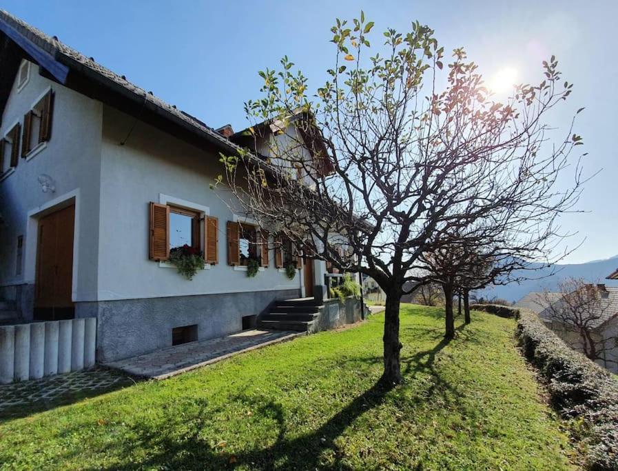 House Pucnk-Beautiful Countryside Villa Zelezniki Exterior foto