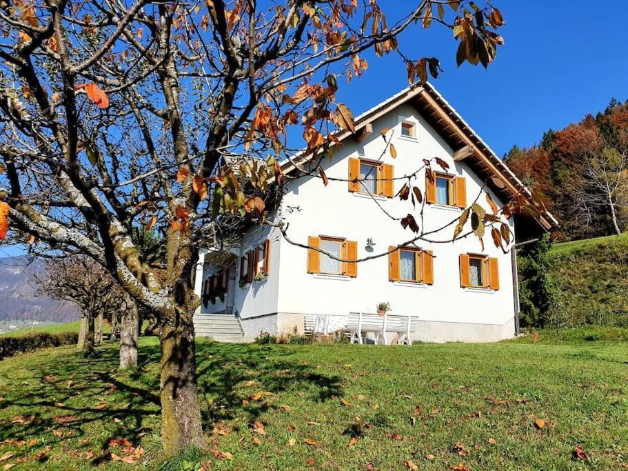 House Pucnk-Beautiful Countryside Villa Zelezniki Exterior foto