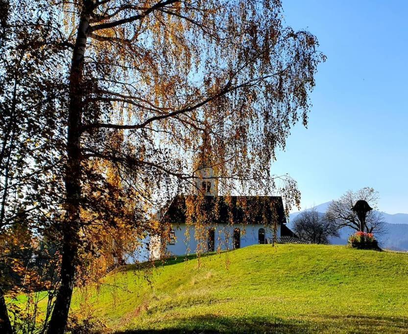 House Pucnk-Beautiful Countryside Villa Zelezniki Exterior foto