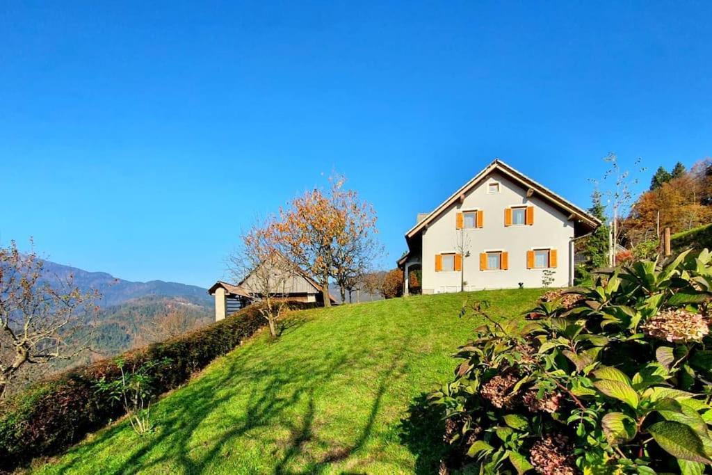 House Pucnk-Beautiful Countryside Villa Zelezniki Exterior foto