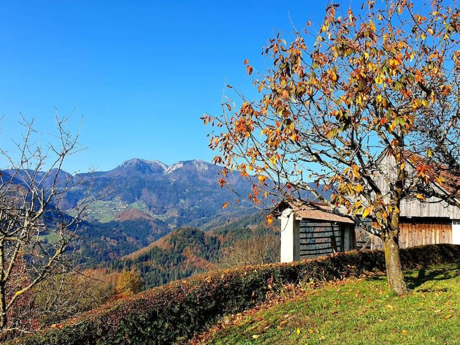 House Pucnk-Beautiful Countryside Villa Zelezniki Exterior foto